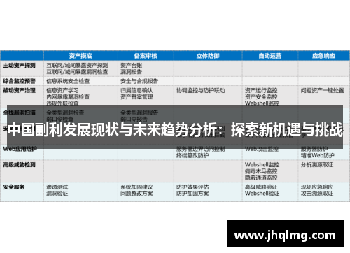 中国副利发展现状与未来趋势分析:探索新机遇与挑战 中国副利发展现状与未来趋势分析:探索新机遇与挑战